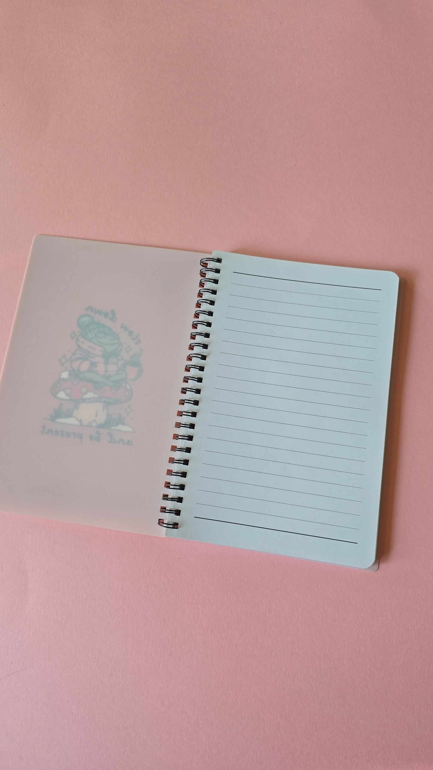 *sale* Frog notebook