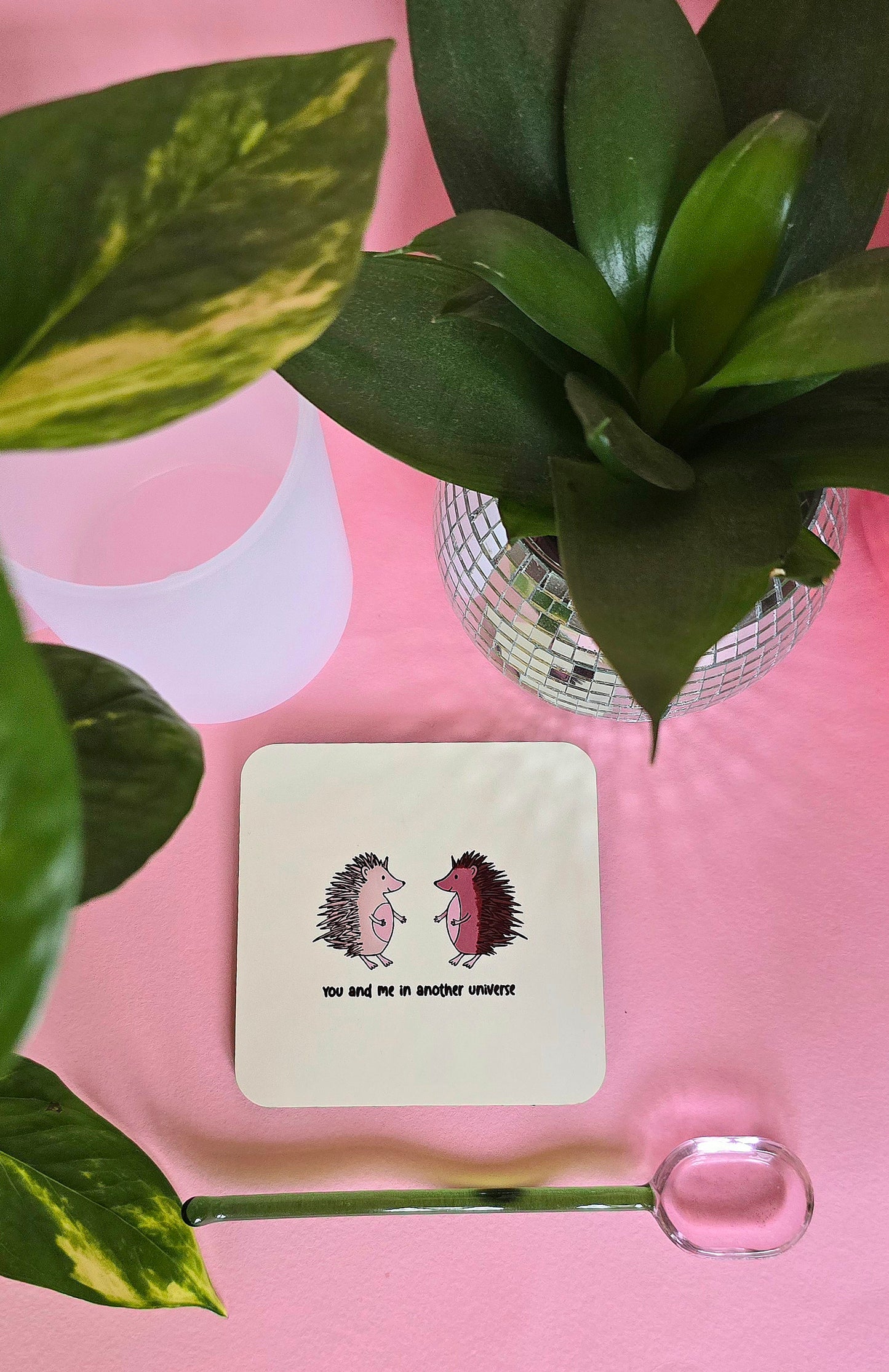 Hedgehogs Us In Another Universe Coaster