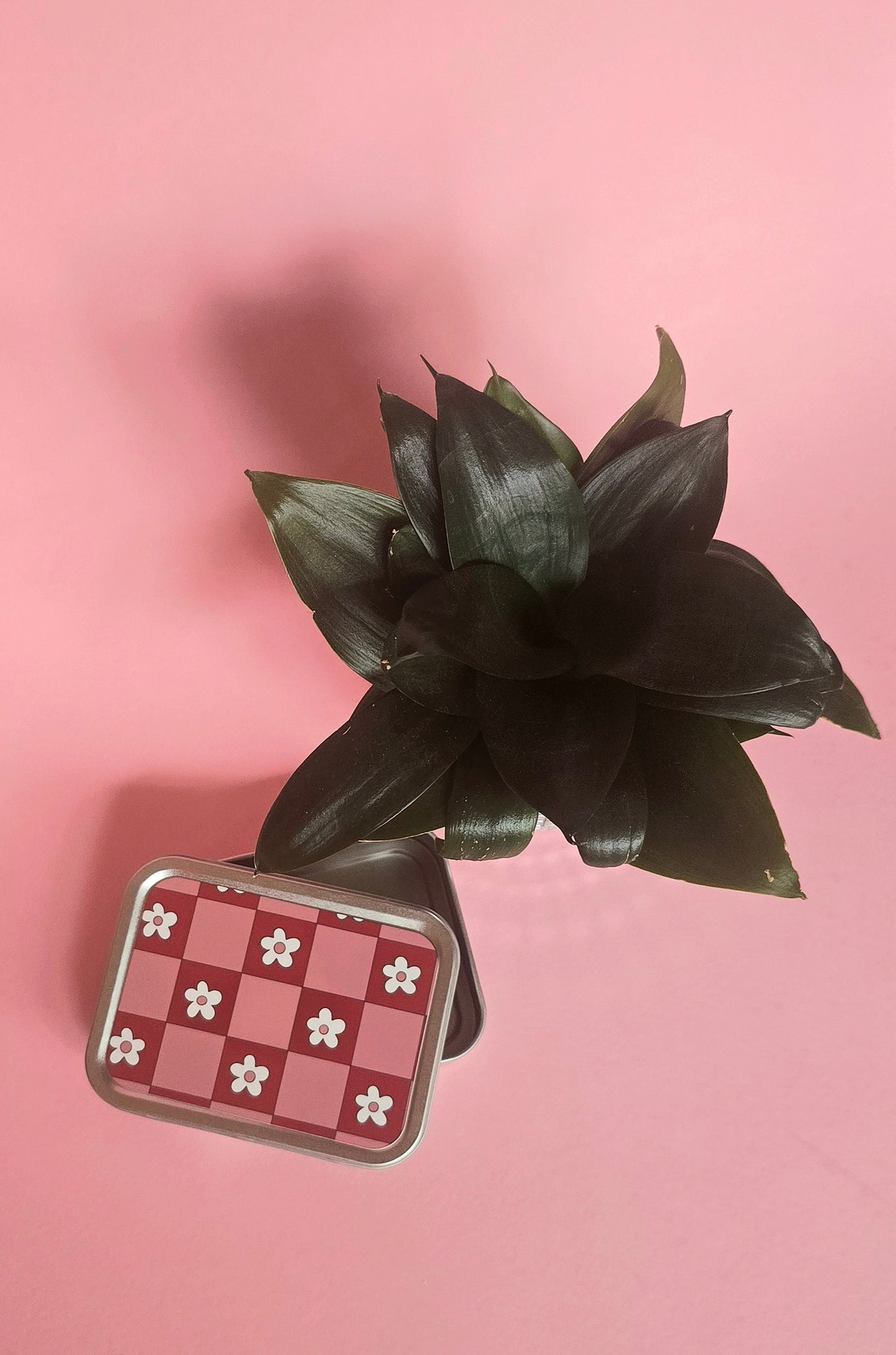 Pink & Red Flowers Rolling Tobacco Tin